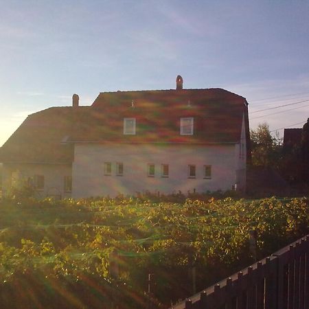 Bed and Breakfast Berkes Vendeghaz Badacsonytördemic Zewnętrze zdjęcie
